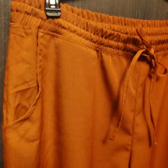 Wide Leg Drawstring Pants Burnt Orange Rust French Laundry - Picture 3 of 5